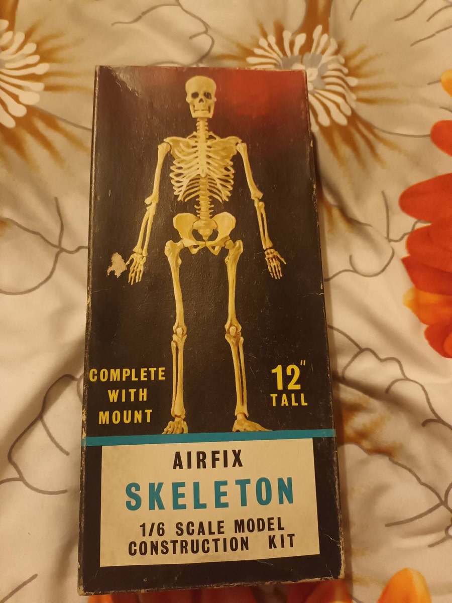 Airfix's tweet photo. Throwback Tuesday… 

Who remembers this 1/6-scale skeleton kit from 1965? What a classic!

📸 FB/ Paul Brannan 

Shop our Vintage Classic range: https://t.co/lbgfgIBSzi 👈

#Airfix #ScaleModelling #ScaleModels #Skeleton https://t.co/G2P0JicZKo