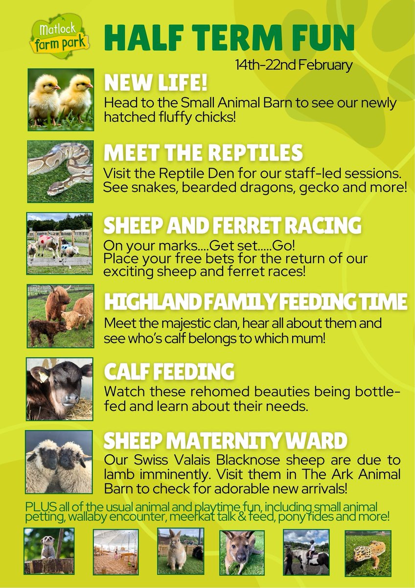 Matlock Farm Park tweet media