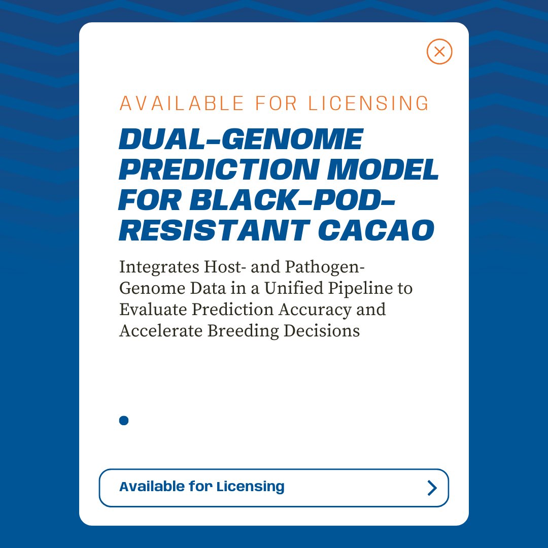 UF Innovate | Tech Licensing tweet media