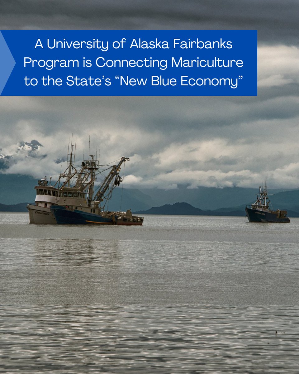 Alaska is the seafood capital of the United States, and the Alaska Blue Economy Center is working to incorporate mariculture into this revived industry.

Learn how the ABEC is reshaping Alaskan seafood ➡️ fishsens.com/the-alaska-blu… 

Photo Credit: Gillfoto via Wikimedia Commons.