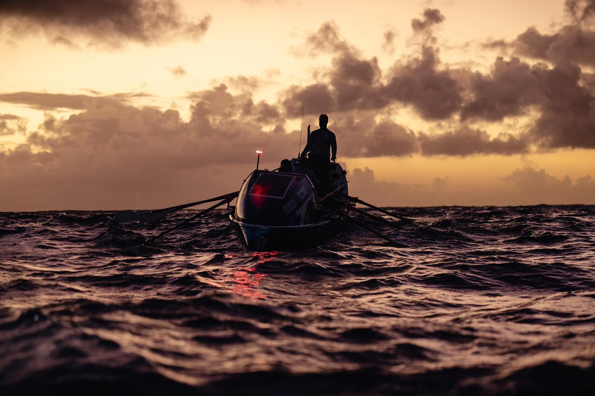 HMS Oardacious tweet media