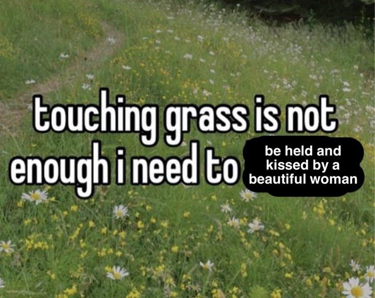 violet_franz's tweet image. 