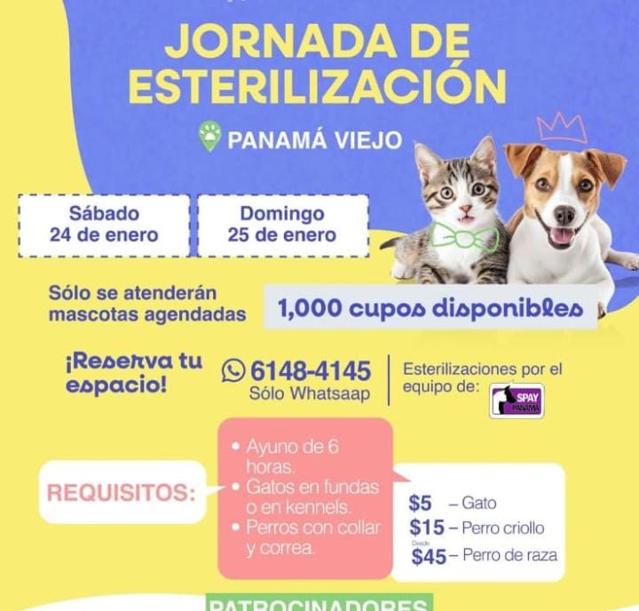 Nacelys González tweet media