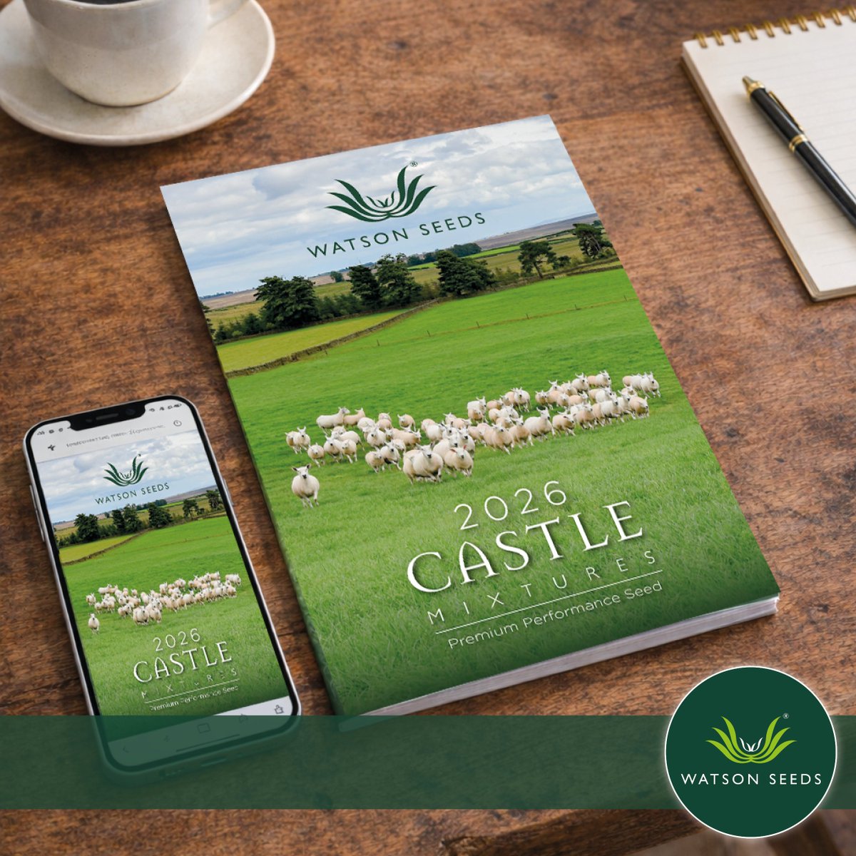 Watson Seeds tweet media