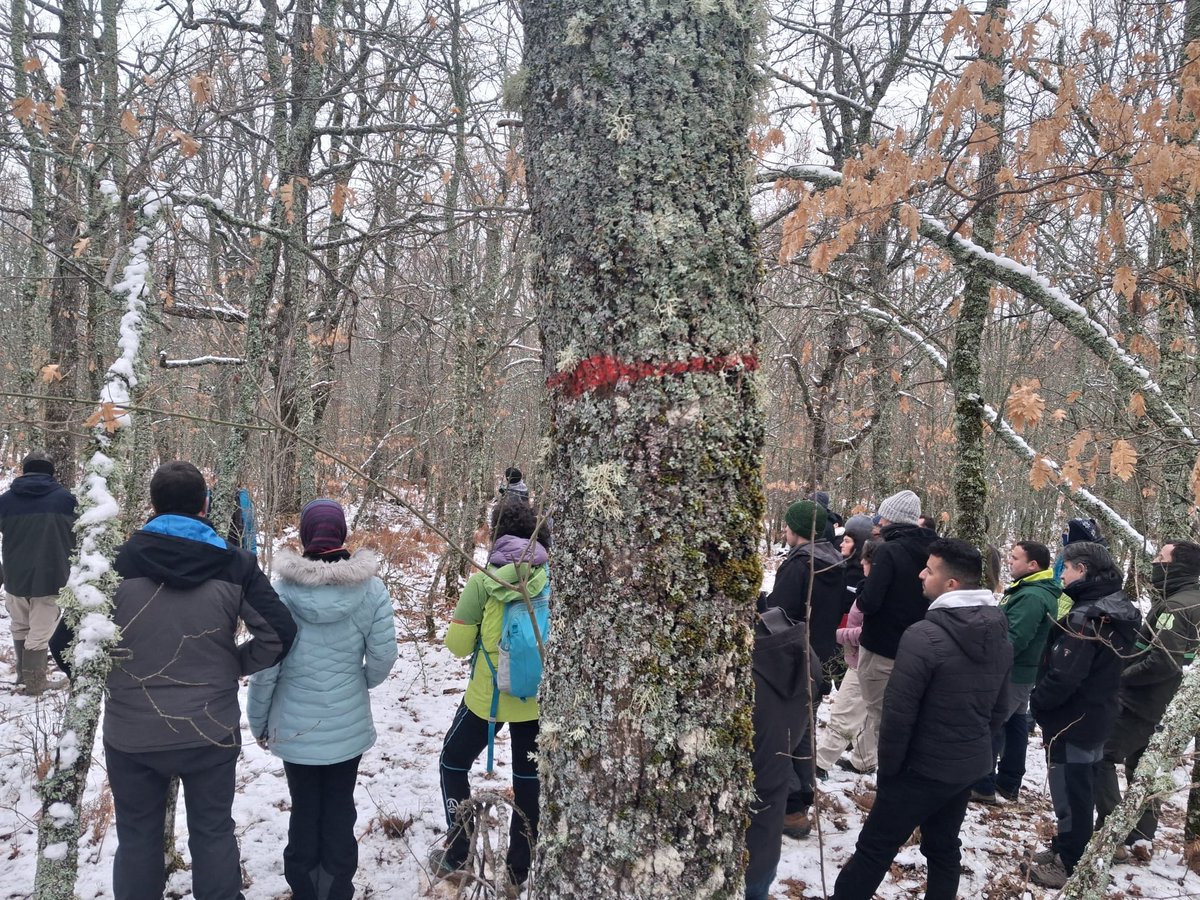 LifeRebollo tweet media