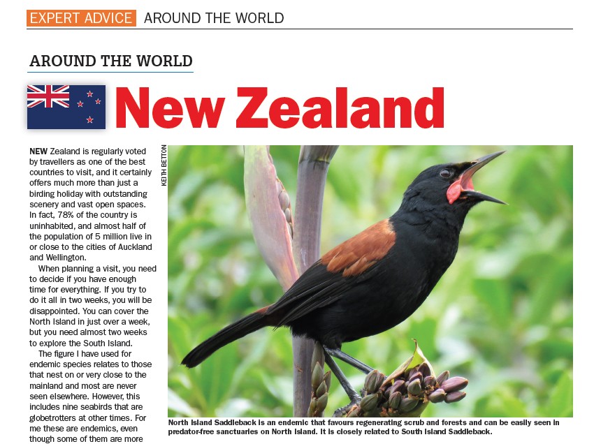 Check out my recommendations for a birding trip to New Zealand in the latest issue of Birdwatch - out this week.