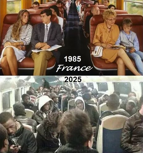 𝑳𝒐 𝒍𝒍𝒂𝒎𝒂𝒏 𝒑𝒓𝒐𝒈𝒓𝒆𝒔𝒐........