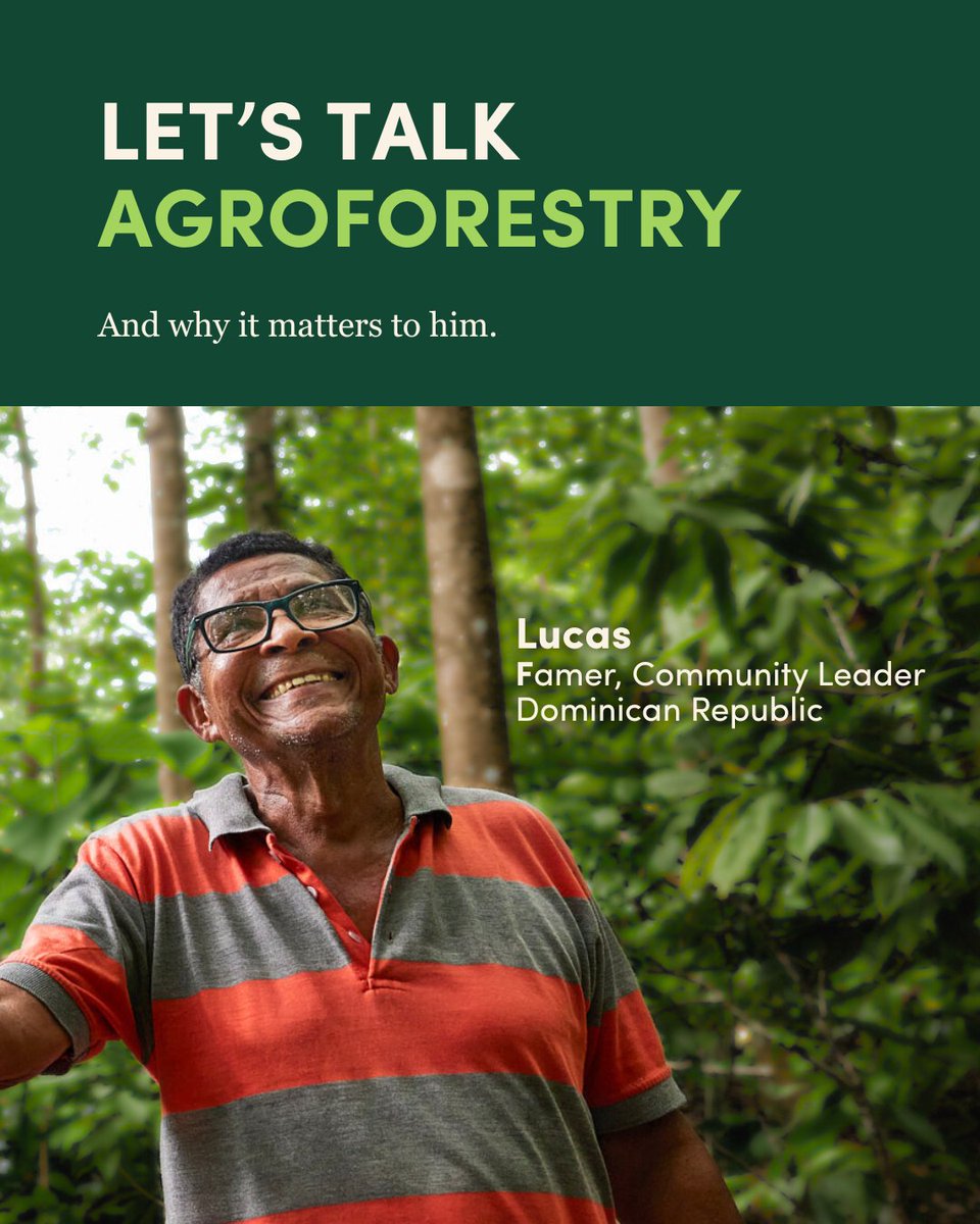Arbor Day Foundation tweet media