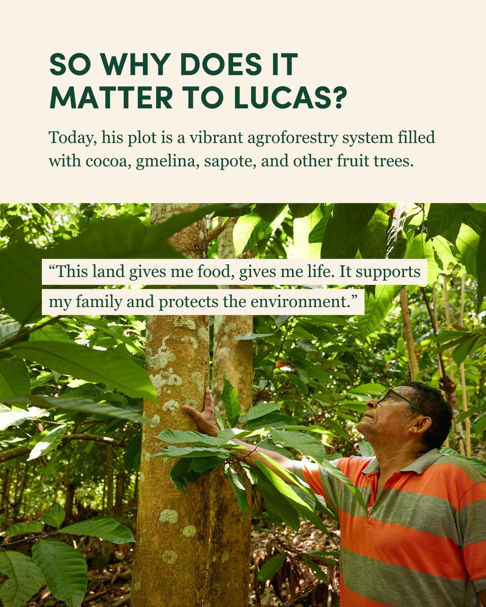 Arbor Day Foundation tweet media