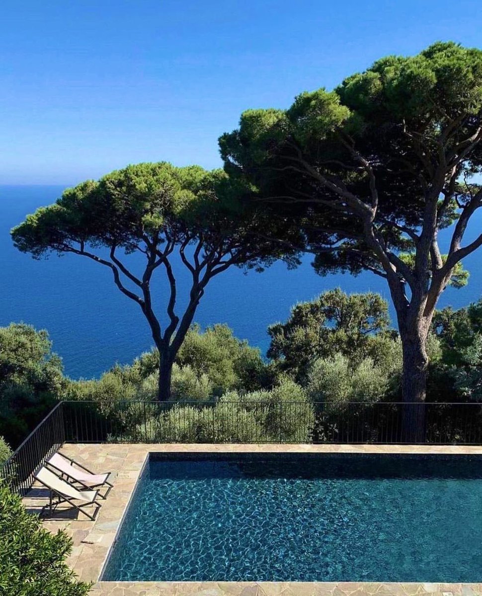 euronationalizt's tweet image. Aesthetics will always matter