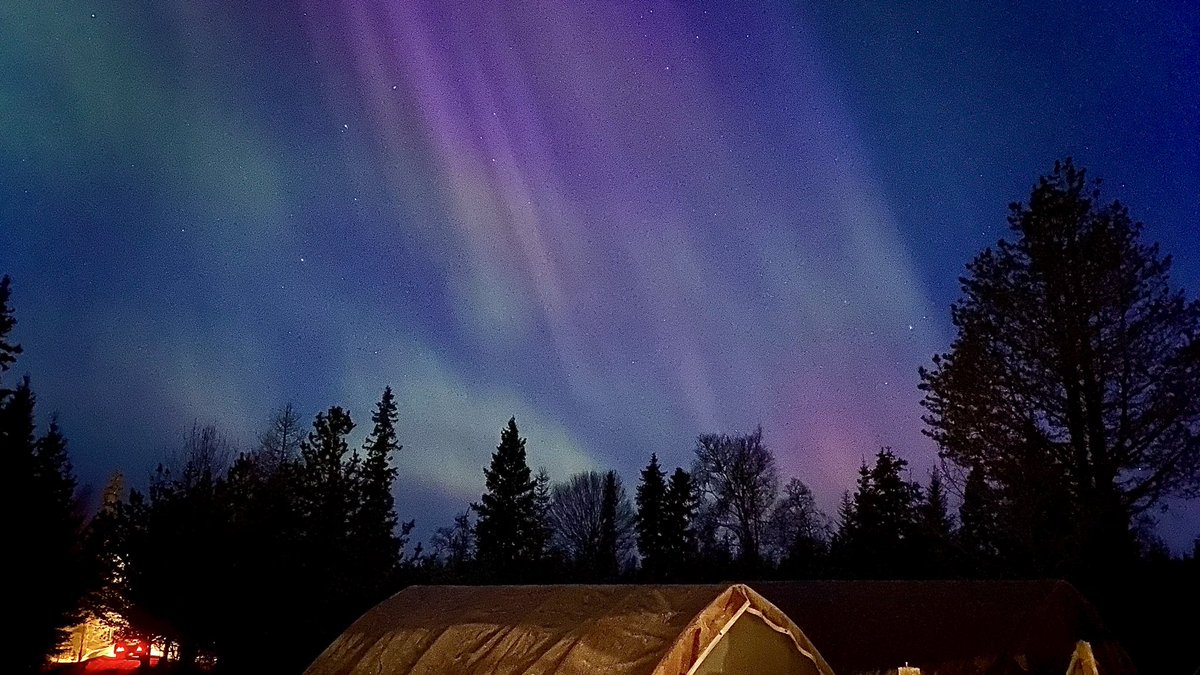 Cork Graham tweet media