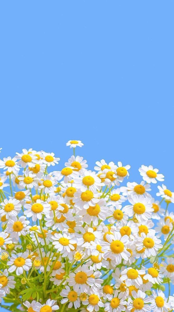 tlslaug's tweet image. 電車遅延で
約束の時間に間に合わない 🐕