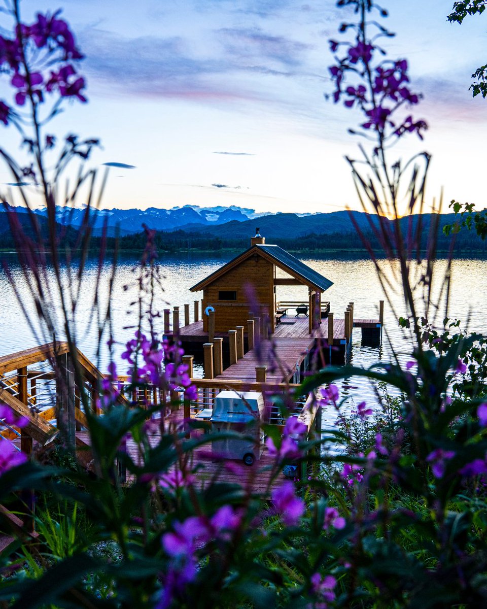 arctickingdom's tweet image. Where fireweed paints the landscape and steam rises from floating saunas, every moment feels alive ✨

Experience Alaska like never before.
Start your adventure with us. ⛰️ bit.ly/4sHU2oV

#AuthenticAlaska #NatureRetreat #AlaskaMagic #AdventureAwaits