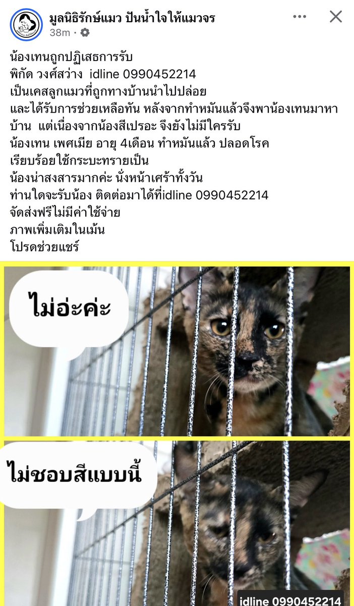 Q_cupid's tweet image. สงสารจัง แต่ที่บ้านก็ไม่ไหวแล้ว ใครที่มีดวงสัมพันธ์กับน้อง ไปรับน้องนะ 🥲