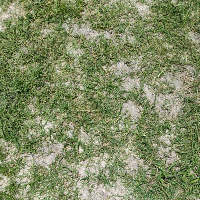 O Belo pode entrar na Toca do Papão, amanhã, com até 7 desfalques:

Hatamoto - Lesão Coxa;
Donatan - Lesão Coxa;
Anderson Chaves - Lesão panturilha;
Caio Garcia - Lesão tornozelo;
Da Silva - Lesão no Pé;
Thallyson - Dúvida;
Varela - Desconforto muscular;

🎙️ Rádio Tabajara