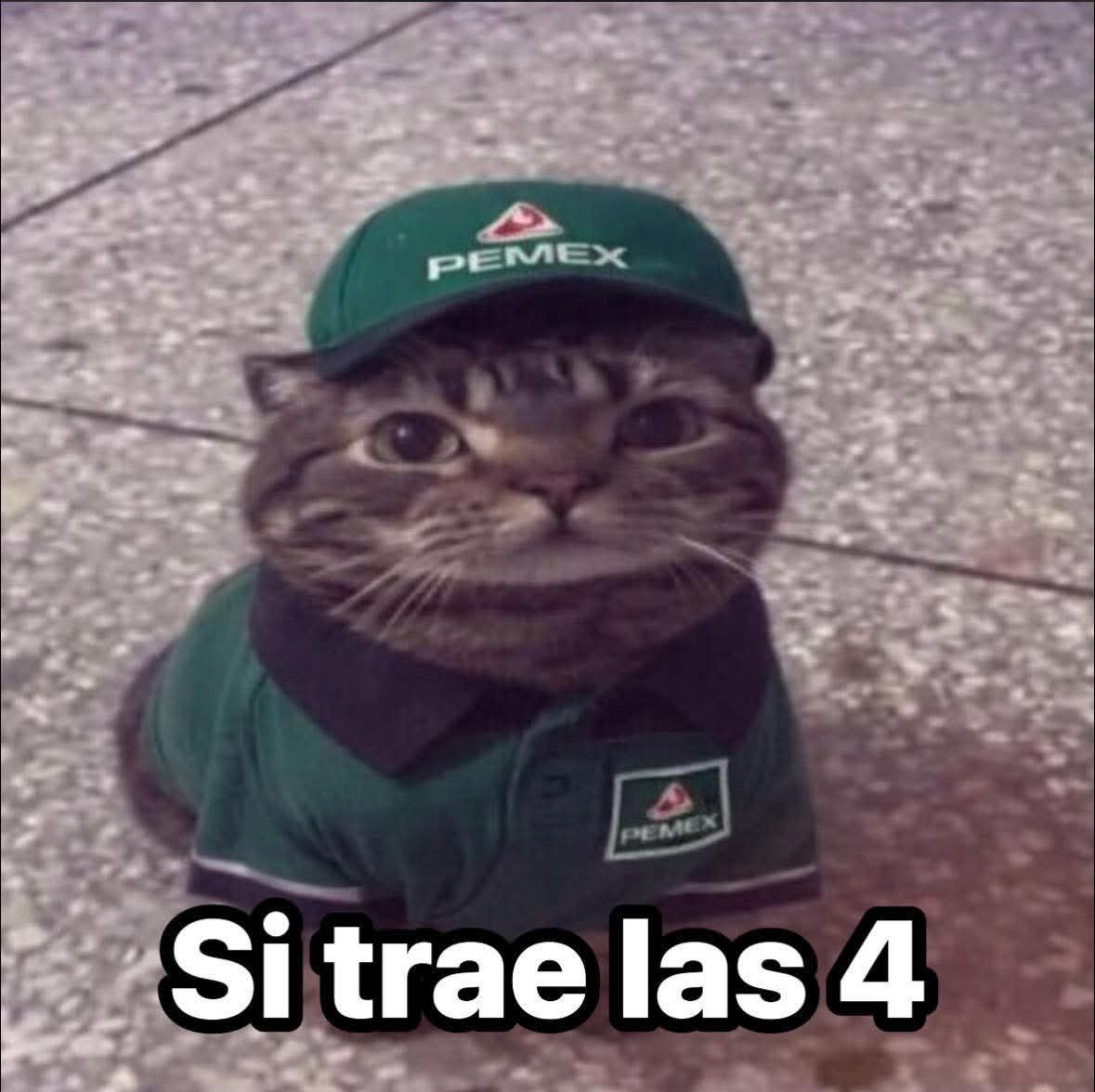 Mapaxitouwu's tweet image. Gatolinero cuando le piden k cheque las llantas.