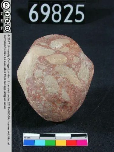 Dr. Max Fomitchev-Zamilov tweet media