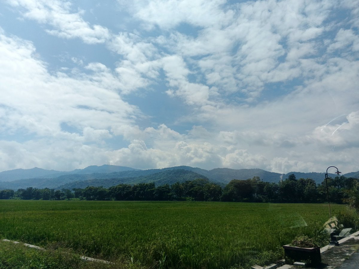 ˚ ˗ˏˋ ★ ᑲᥣ𝗂𝗌𝗌𝗋𝖾𝗏𝗂𝖾ω𝗌 ˎˊ˗ tweet media