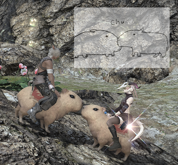 얼래벌래돌아가는 얼래벌래의하루 (@eollaebeollaeb1) on Twitter photo 