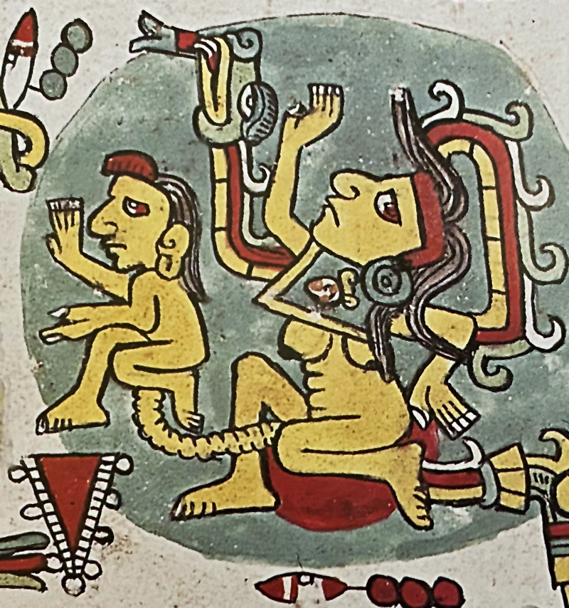 Mexicolore tweet media