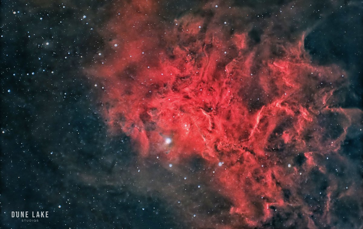 David Warren tweet media