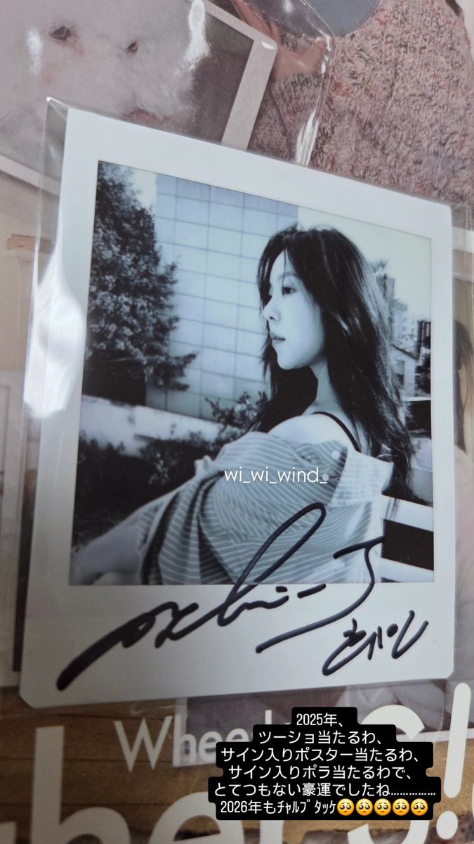 そういえばﾌｨｰｸﾞﾘ2025を1年越しにやっと開けまして、 ふぃーんちゃん