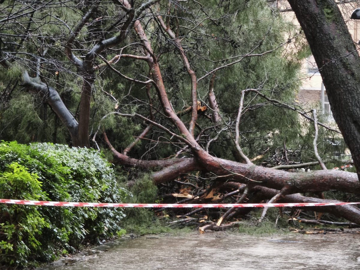 orgullfigueres's tweet photo. ℹ️ Flaix sobre les pluges intenses a #Figueres i l’ #AltEmpordà
https://t.co/AFEY7MknYh
#INUNCAT #pluges https://t.co/V3nPo4DGgm