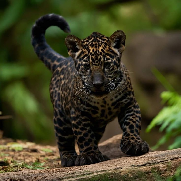 vivaneil1234's tweet image. 