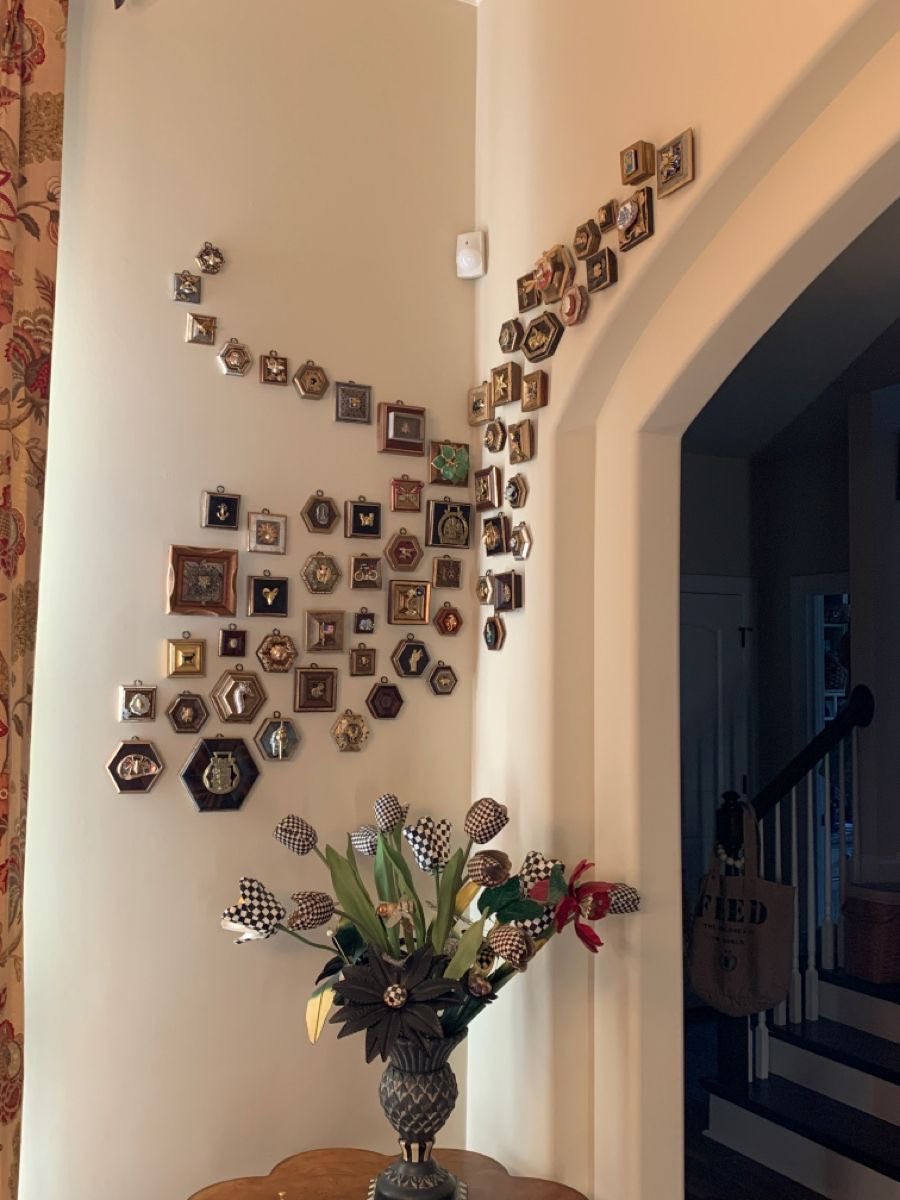 faewings's tweet image. museum bee frames