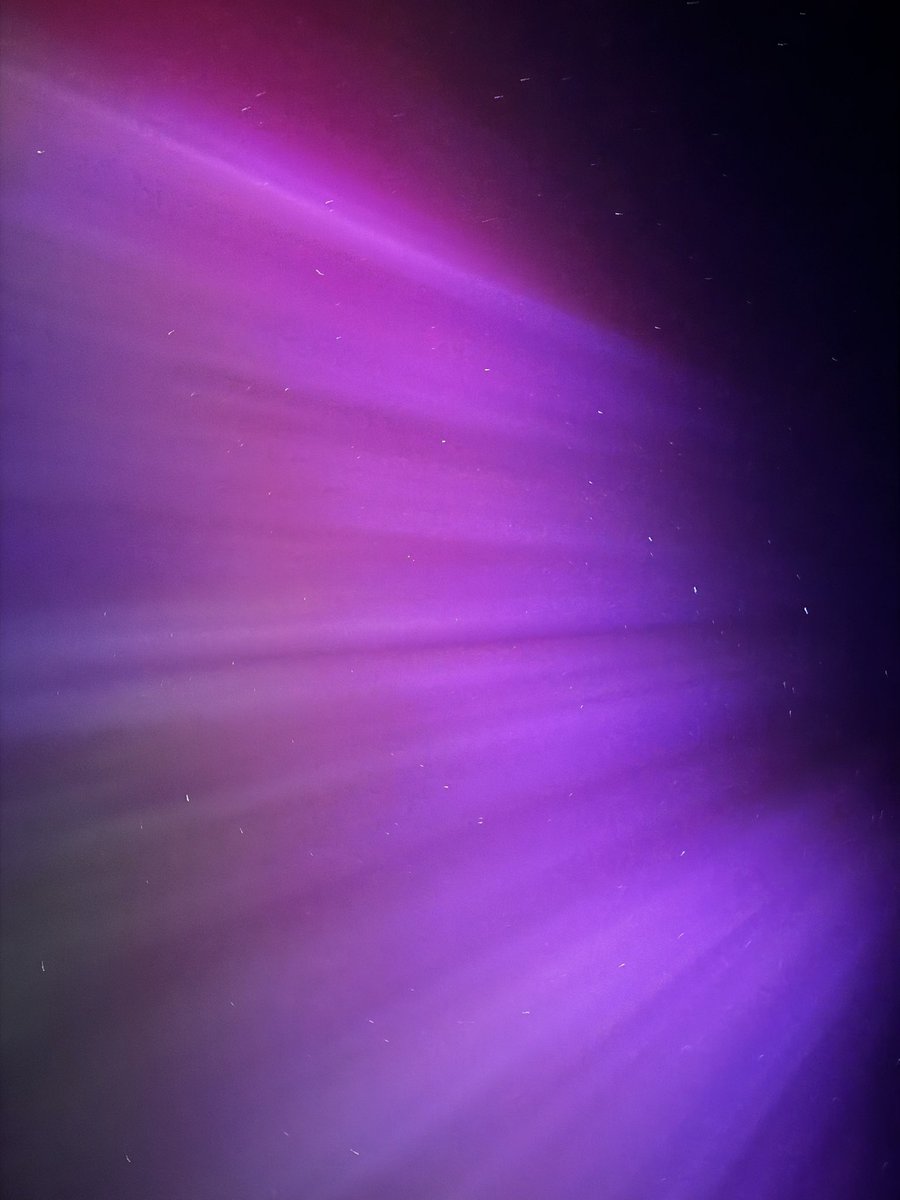 Mitchell Graf tweet media