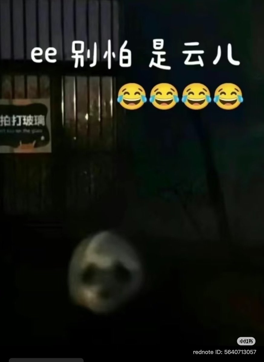 zhensheng1092's tweet image. ถ้าคุณทำงานกะกลางคืน แล้วหันมาเจอหน้าขาว ๆ กำลังจ้องคุณอยู่ท่ามกลางความมืด จะน่าตกใจแค่ไหน😱

พ่อนมเล่าว่าเคยตกใจแทบแย่ เมื่อหันมาเจออวิ๋นเอ๋อร์กำลังนั่งรออาหารมื้อดึกแบบในรูปนี้ค่ะ😅

ว่ากันว่าในธรรมชาติ แพนด้าก็ทำให้สัตว์อื่นกลัวเพราะแบบนี้ค่ะ

Cr xhs 虫洞二馆长
#yuner #云儿