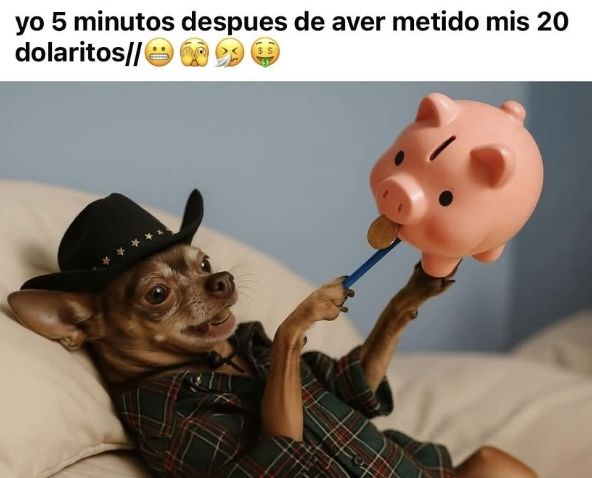 Ma_Ga_Alex's tweet photo. Esto no es lo mío jajjjaa
#Chanfle https://t.co/R4UuneBJqL