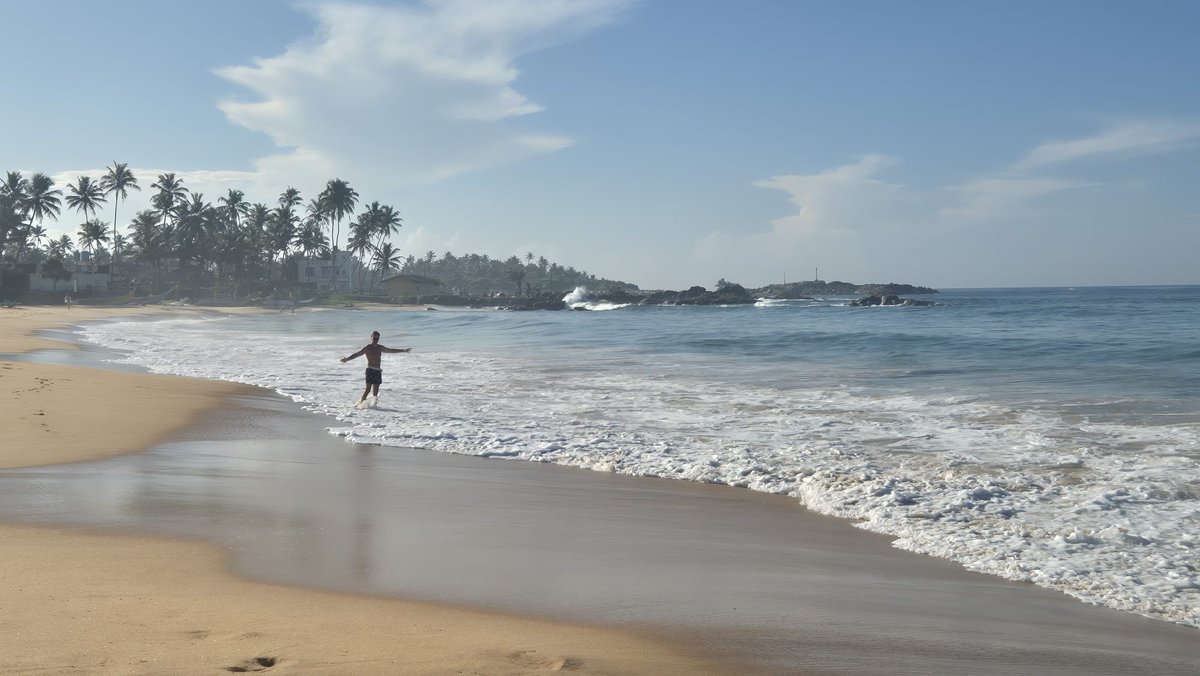 Calin Constantin Moraru tweet media