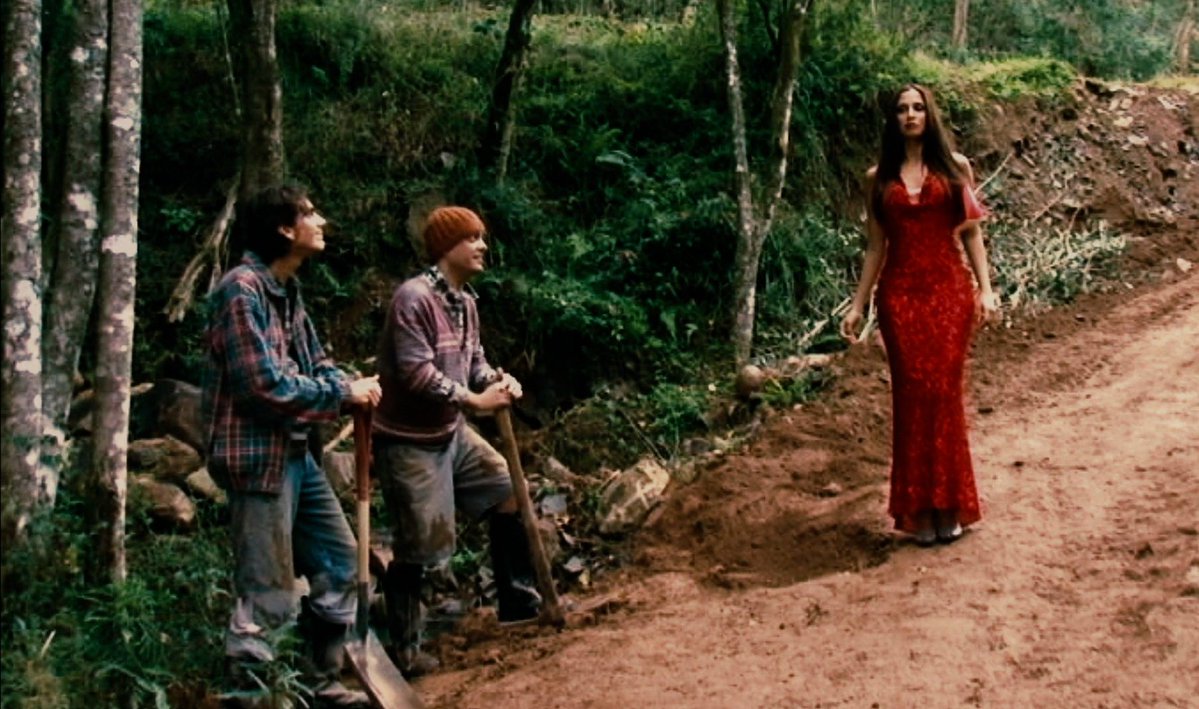 CINEMA505's tweet image. 