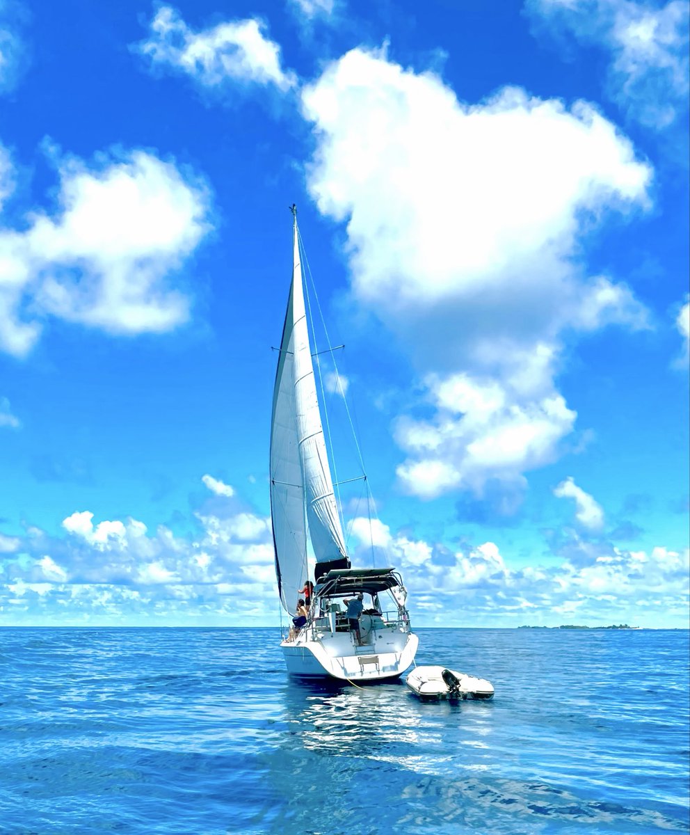 houseprodesign's tweet image. Shiver me timbers! 🏴‍☠️ 
Post your boat, ship or raft #photographs!

We’ll all float on ok! ✨ 

#ship #firstmate #captain #ocean #boat #raft #sea #saltlife