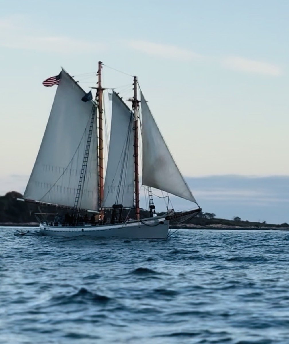 houseprodesign's tweet image. Shiver me timbers! 🏴‍☠️ 
Post your boat, ship or raft #photographs!

We’ll all float on ok! ✨ 

#ship #firstmate #captain #ocean #boat #raft #sea #saltlife