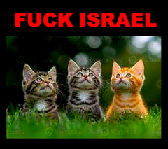 Not_A_Gecko_Man's tweet photo. @caitoz #ZionistIsrael = #GodsChosenAssholes = #DesertNazis https://t.co/mraNFnVAho