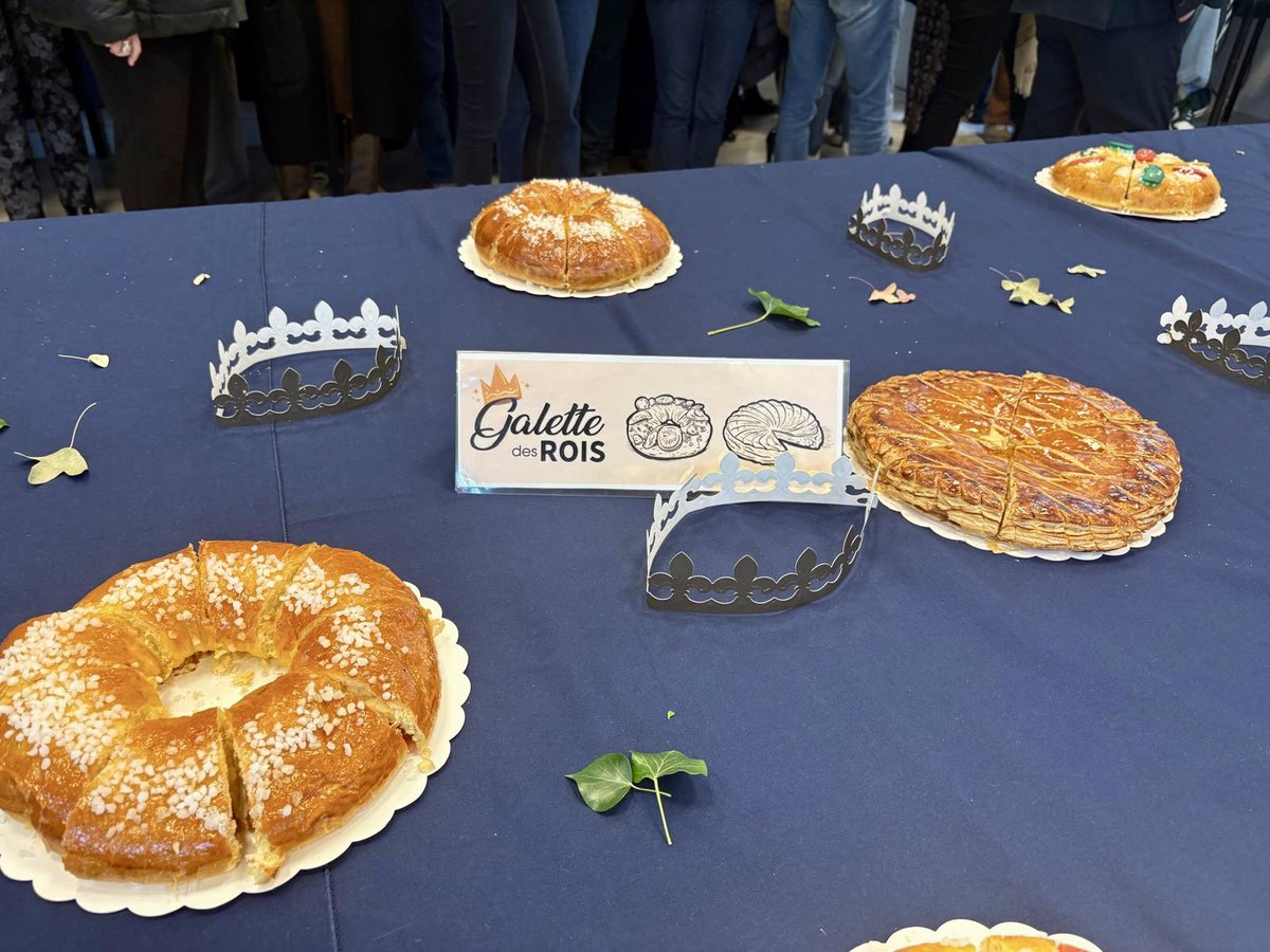 DSDEN 30 tweet media