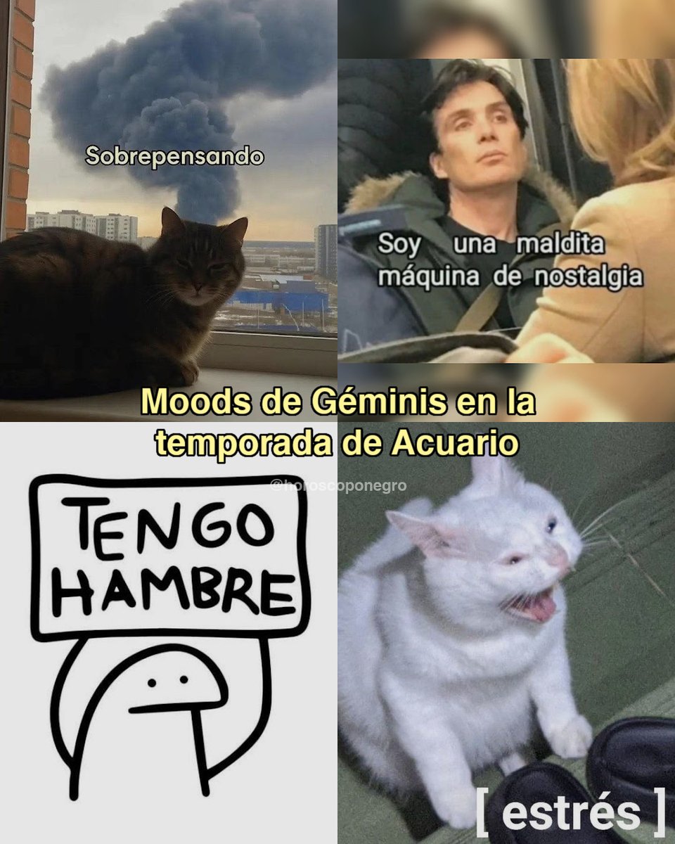 Estos son los moods de tu signo en la temporada de Acuario. 🔮

Spoiler: van a pasar muchas cositas. ⚡️