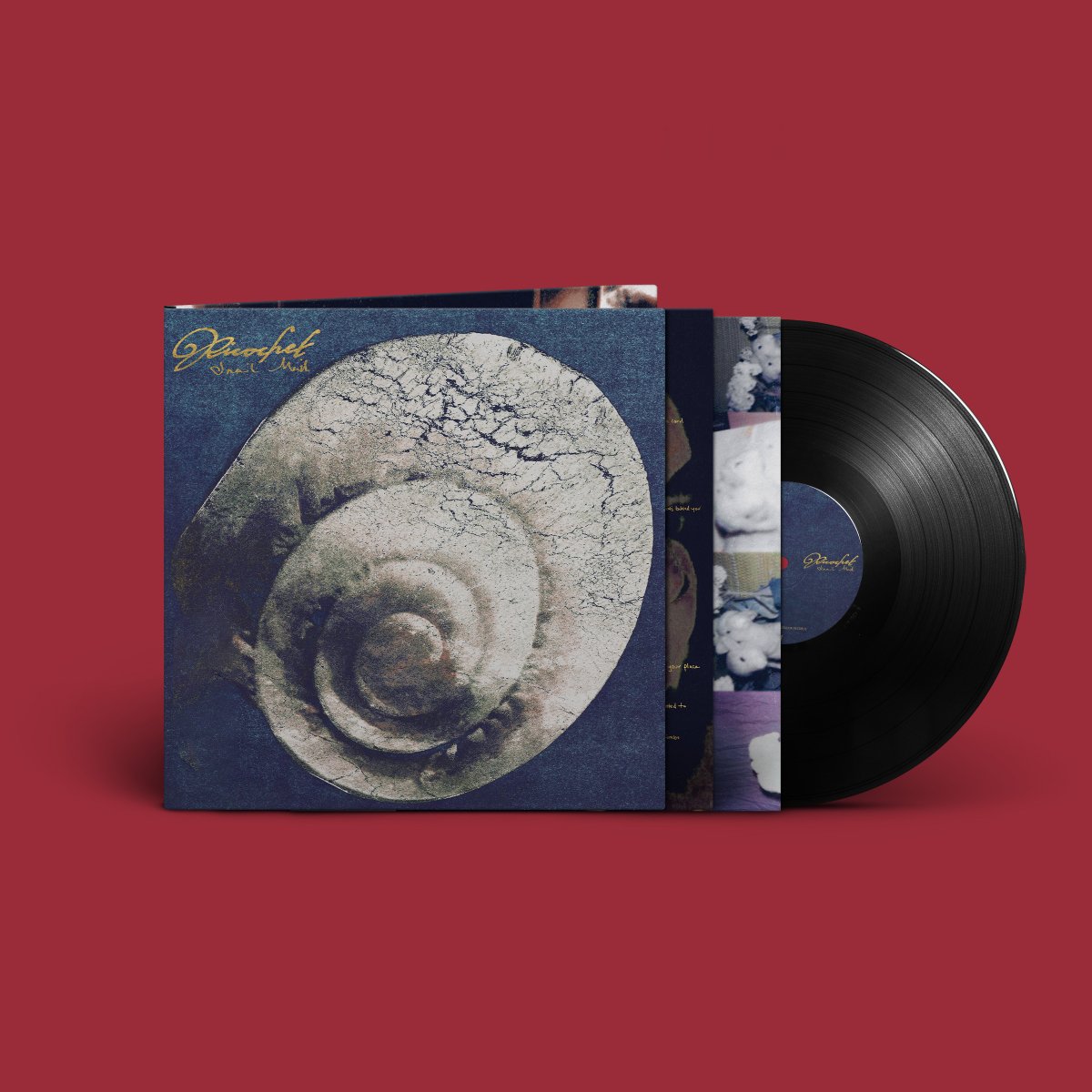 Snail Mail tweet media