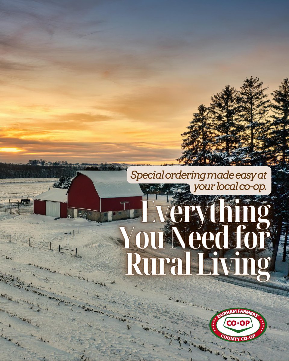 DurhamCoop's tweet image. From small-town essentials to tools for homesteading, hobby farming, and full-scale farming, your local Co-op has you covered. 🛠️🌾

#DurhamFarmersCoOp #DFCC #CountyCoop #OronoCountyCoop #Durham #farmerlife #agriculture #agronomia #hobbyfarm #DurhamRegion