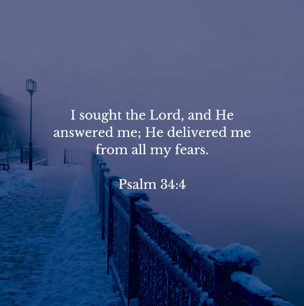 Holy Bible (@holy__bible1) on Twitter photo 