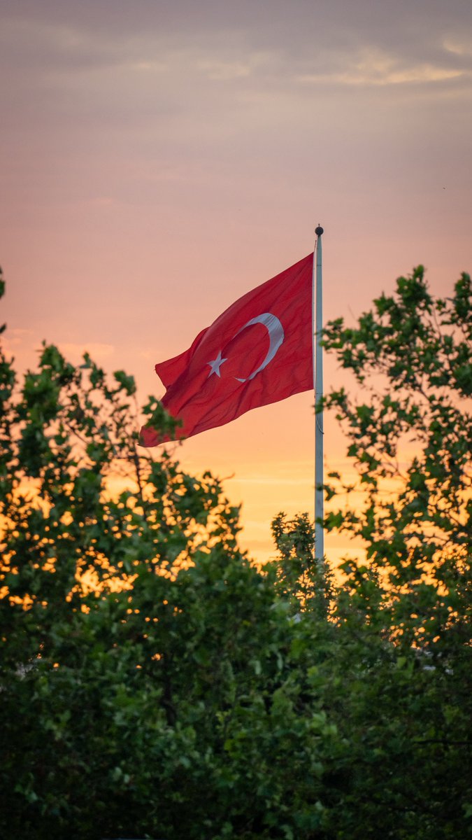 dolunayadam 🌕 tweet media