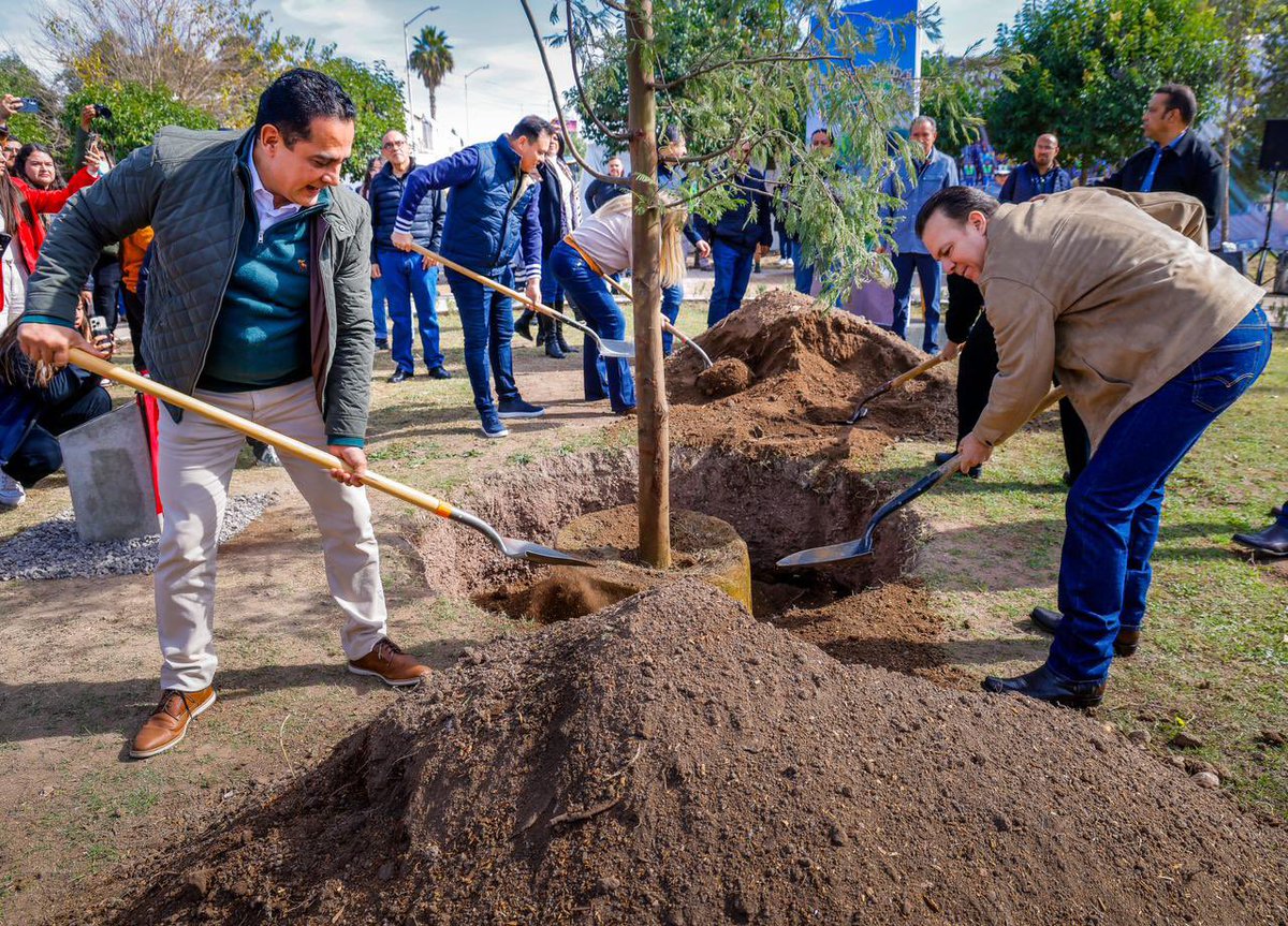 Toño Ochoa tweet media
