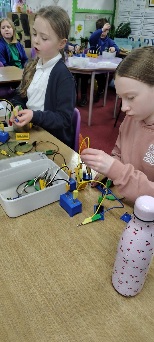 Arrochar Primary School tweet media