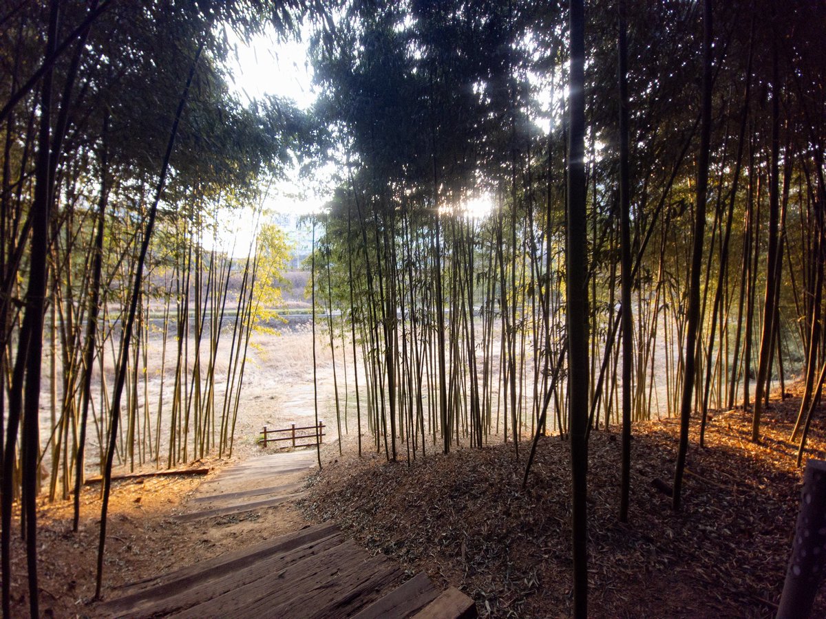 프리그 | 3월부코 토요일 tweet media