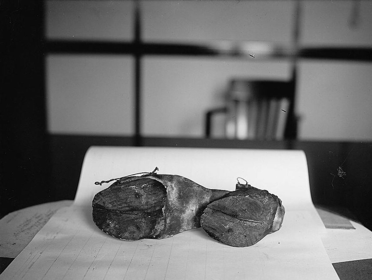 WikiVictorian tweet media