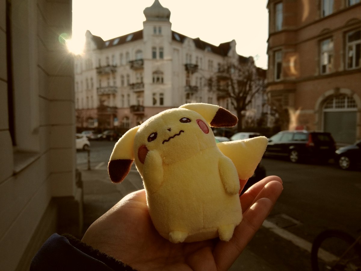 flychikorita's tweet photo. ちょっと眩しいね https://t.co/EijfL1eYUw