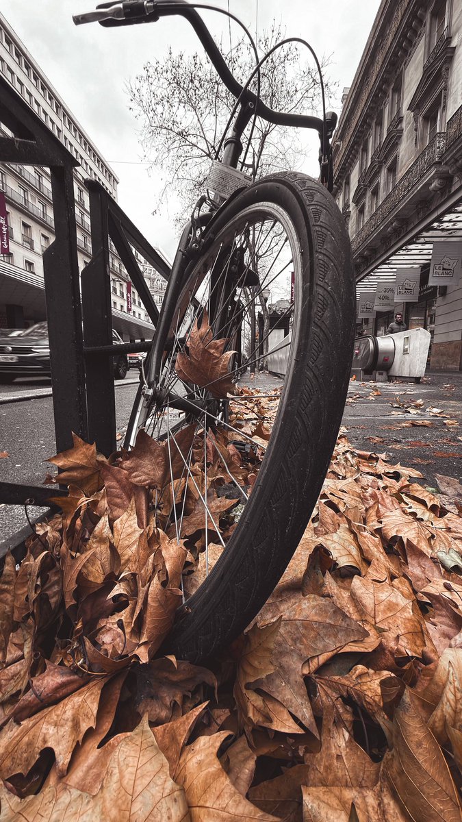 bobdraan's tweet photo. مجرد اوراق 🍁📱
By iPhone 17 pro max
#Paris #iphone17promax 
@Apple https://t.co/Qc9xCinESp