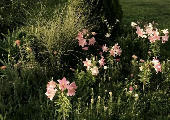 aesthetics_40's tweet image. 